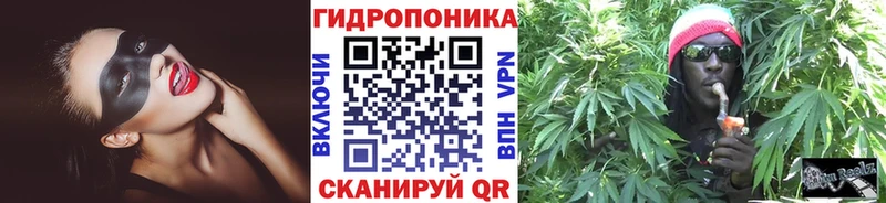 Бошки марихуана MAZAR  Козловка 